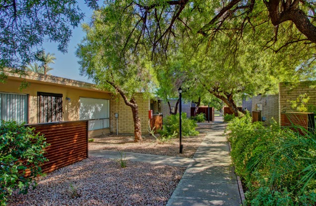 Overgrown courtyard